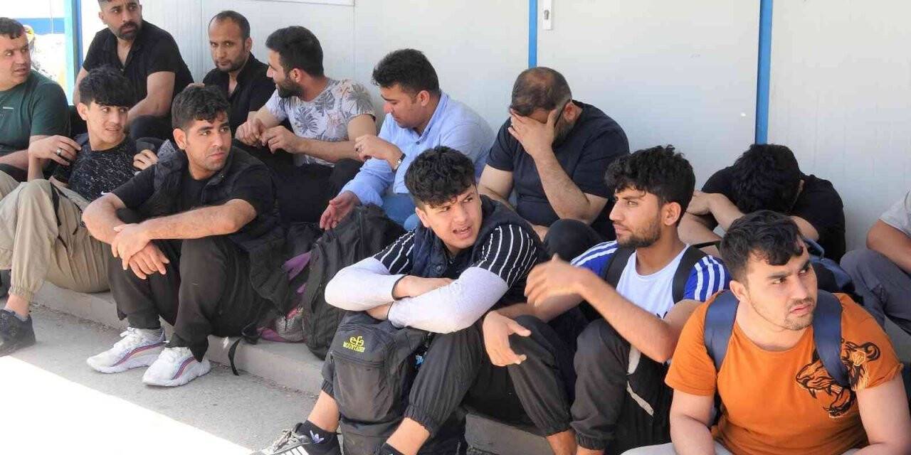 Kamyon kasasında kaçak göçmenler yakalandı