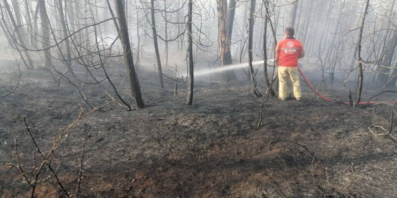 Göynük’teki orman yangının sebebi belli oldu