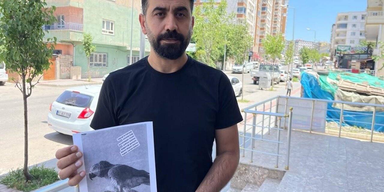 Batman’da kaybolan baba yadigarı papağanı bulana ödül