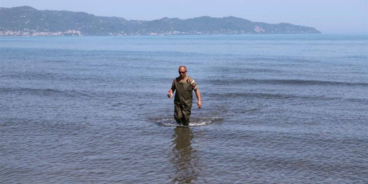 Ordu’nun denizi temiz
