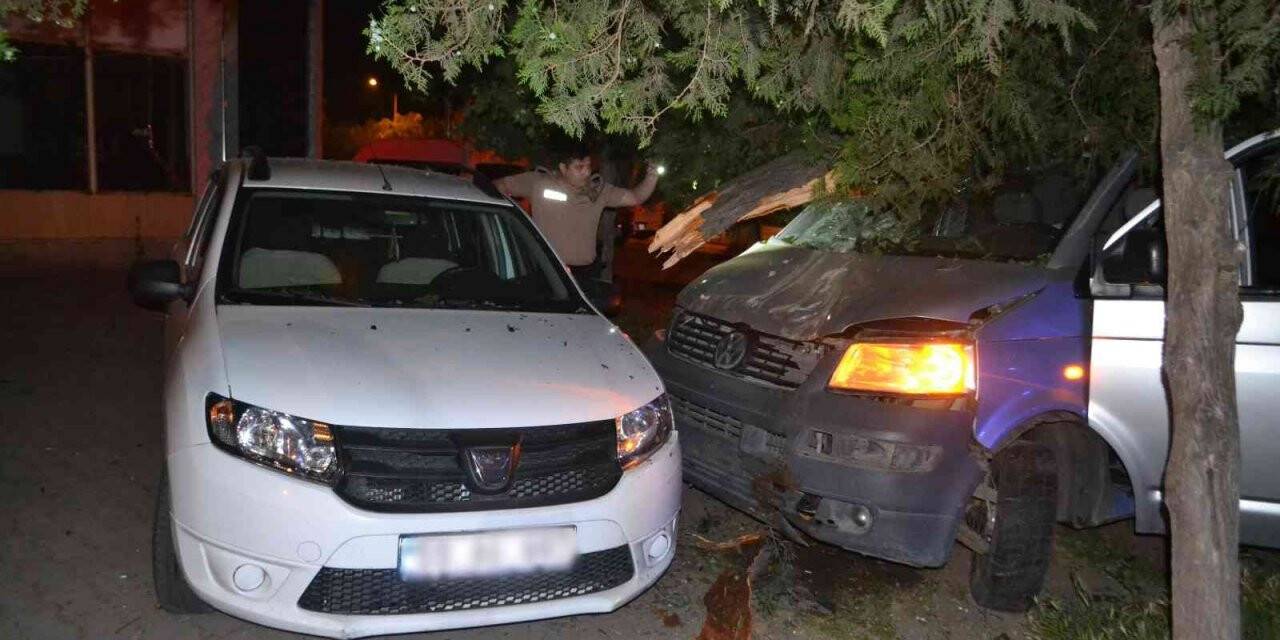Alkollü sürücü polisten kaçarken ağaca çarptı