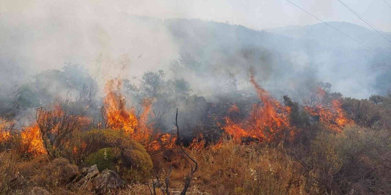 Dalaman’da orman yangını