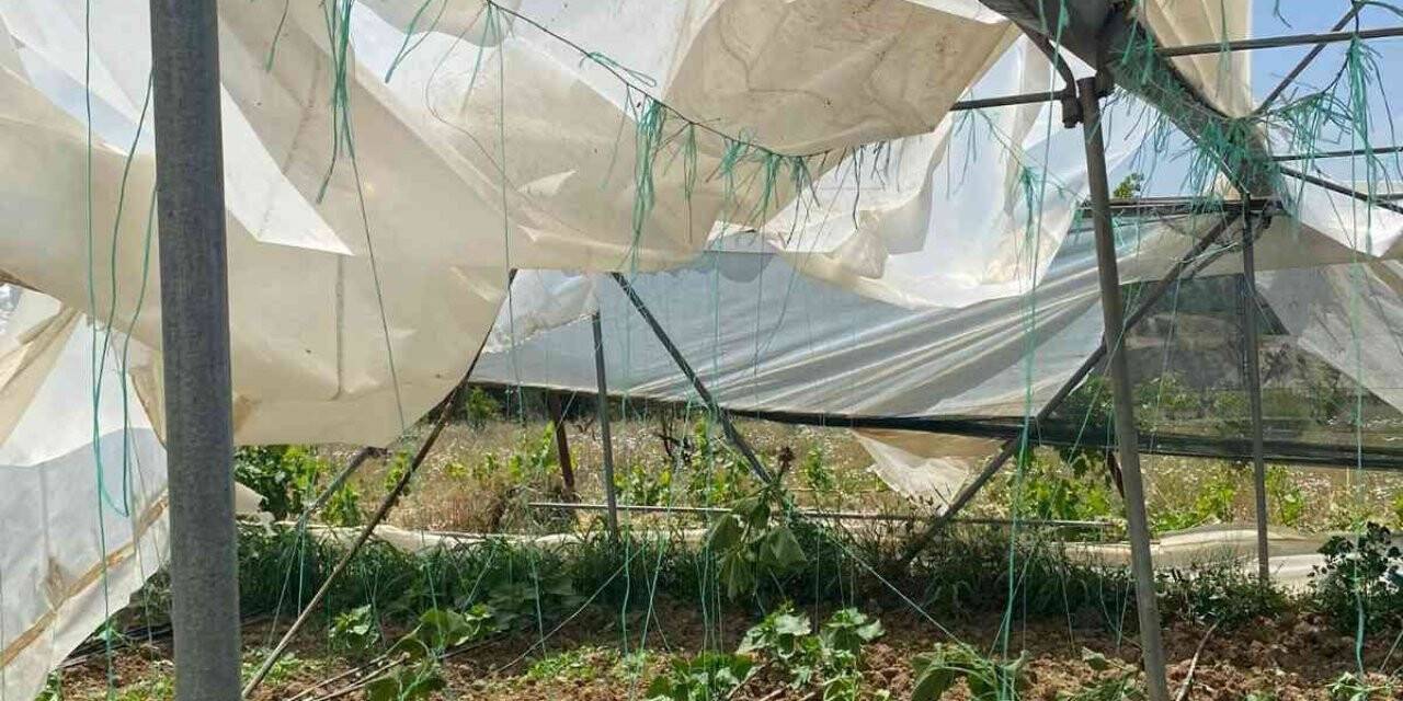 Bilecik’te seraları hortum vurdu