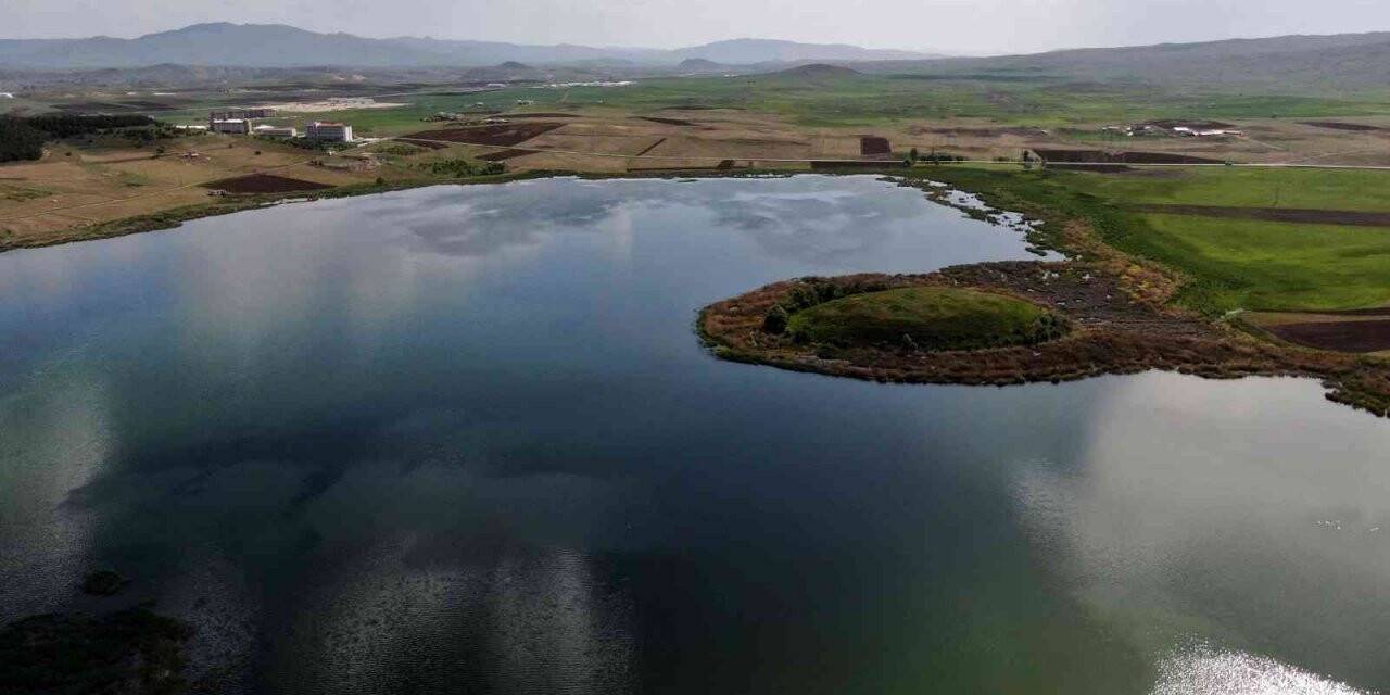 Sivas’ın en büyük ikinci gölünde sevindiren gelişme