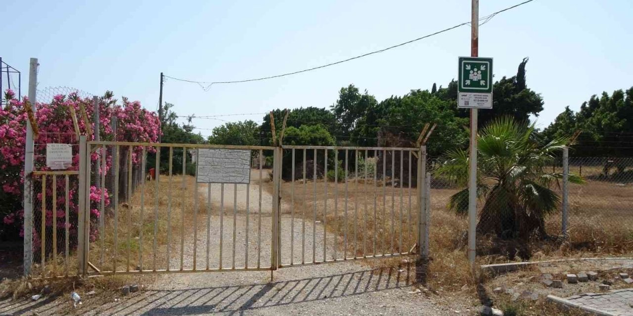 Gençler saha bulamazken terk edilen stadı kurumuş ot ve dikenler kapladı