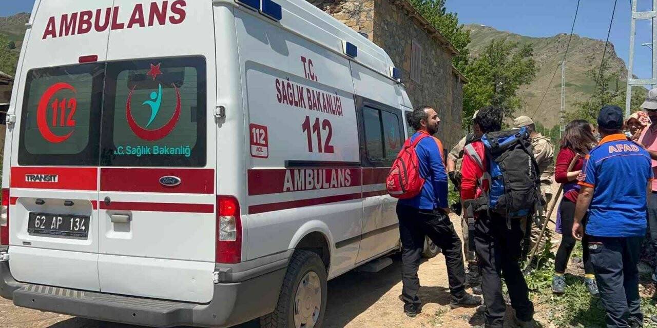 Ayı saldırısından elindeki sopayla kurtuldu