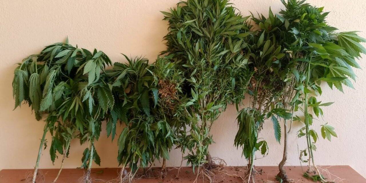 Hatay’da uyuşturucu operasyonu