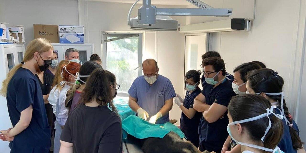 Geleceğin veteriner hekimleri Osmangazi’de