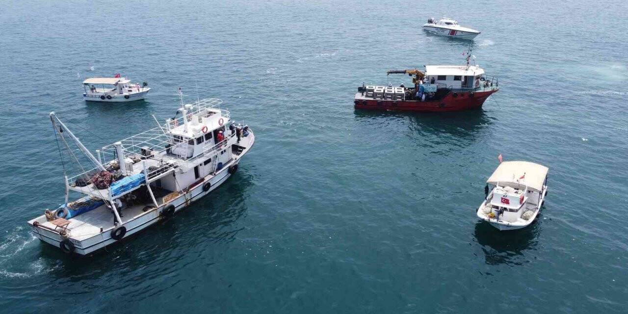 Balıkların üremesi için yüzlerce yapay resif denize indirildi
