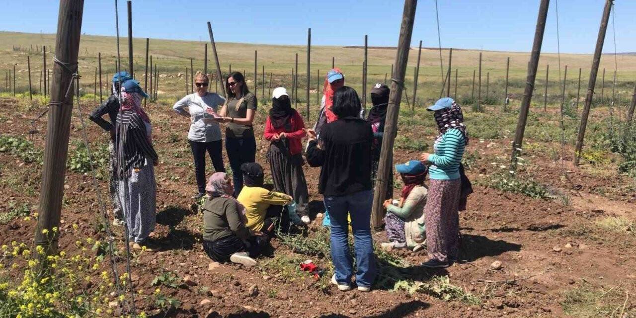Siirt’te kadınlara kooperatifçilik eğitimi