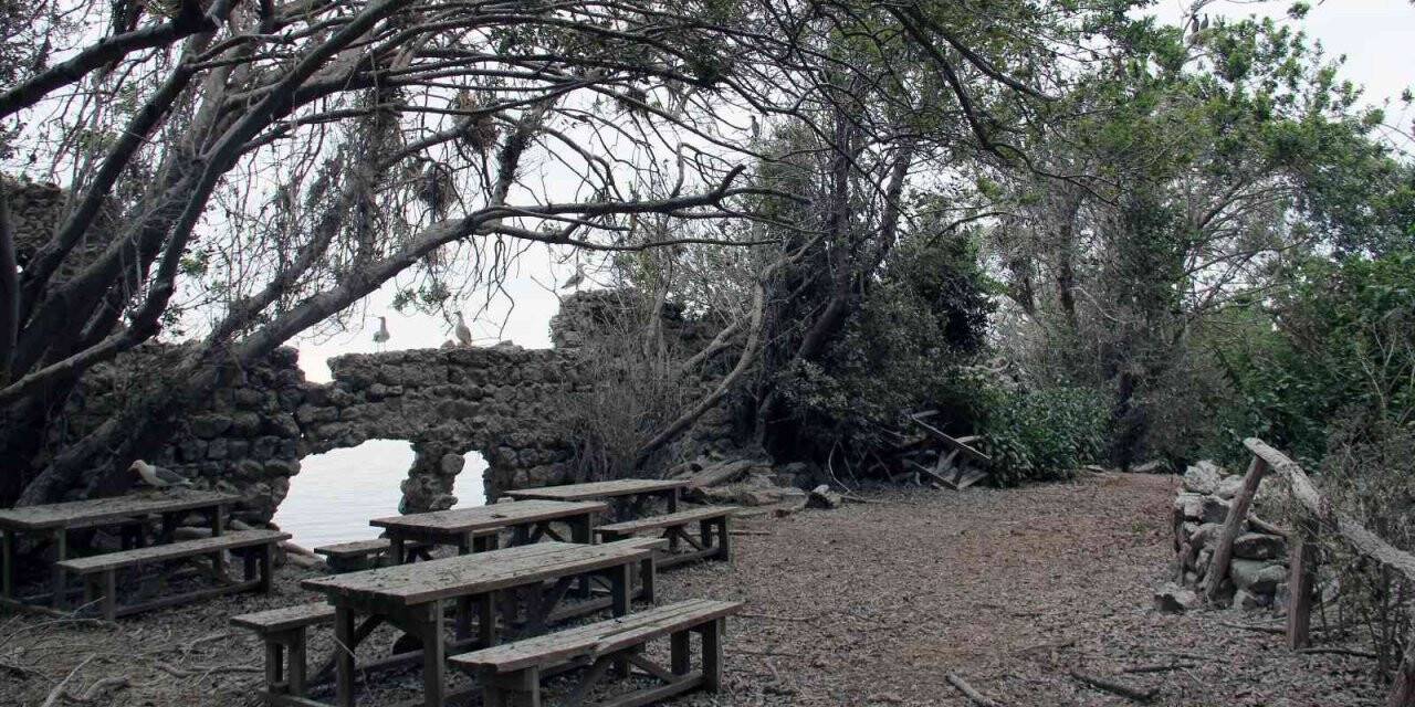 Giresun Adası’na gezi yasağı kararına turizmcilerden tepki