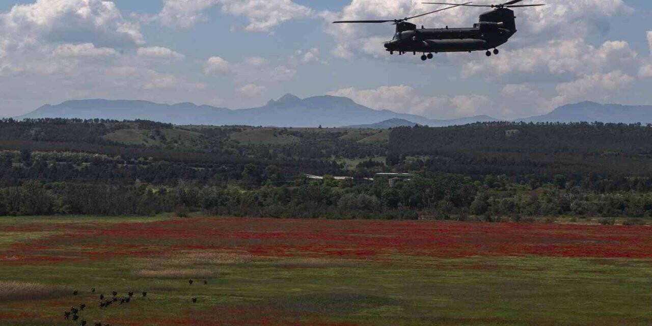 Almanya, 60 adet Chinook tipi helikopter alacak