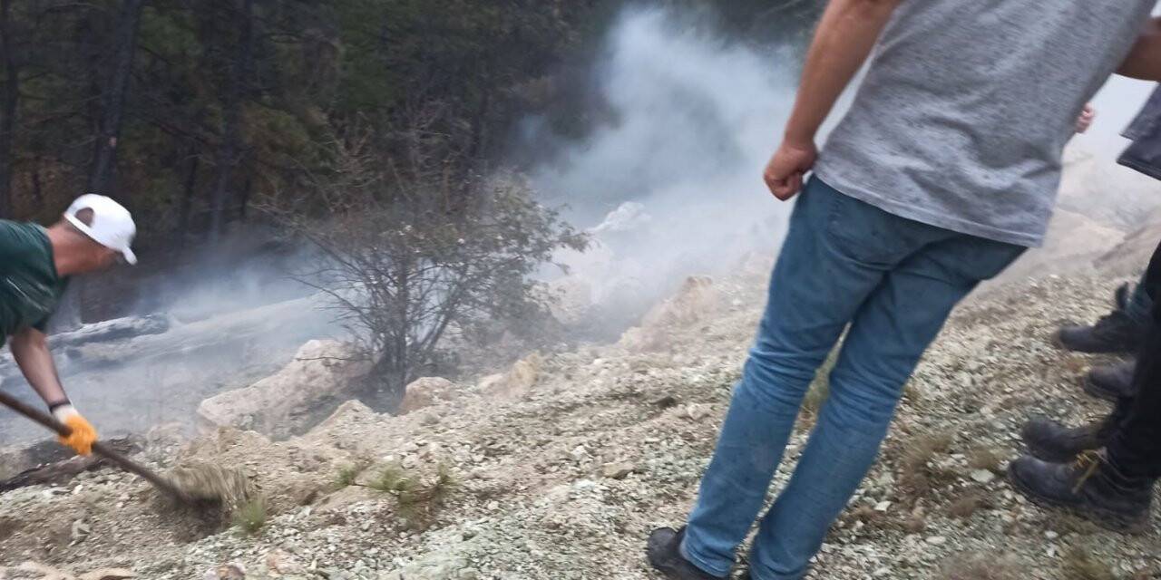 Nallıhan’da yıldırımın neden olduğu orman yangını büyümeden söndürüldü