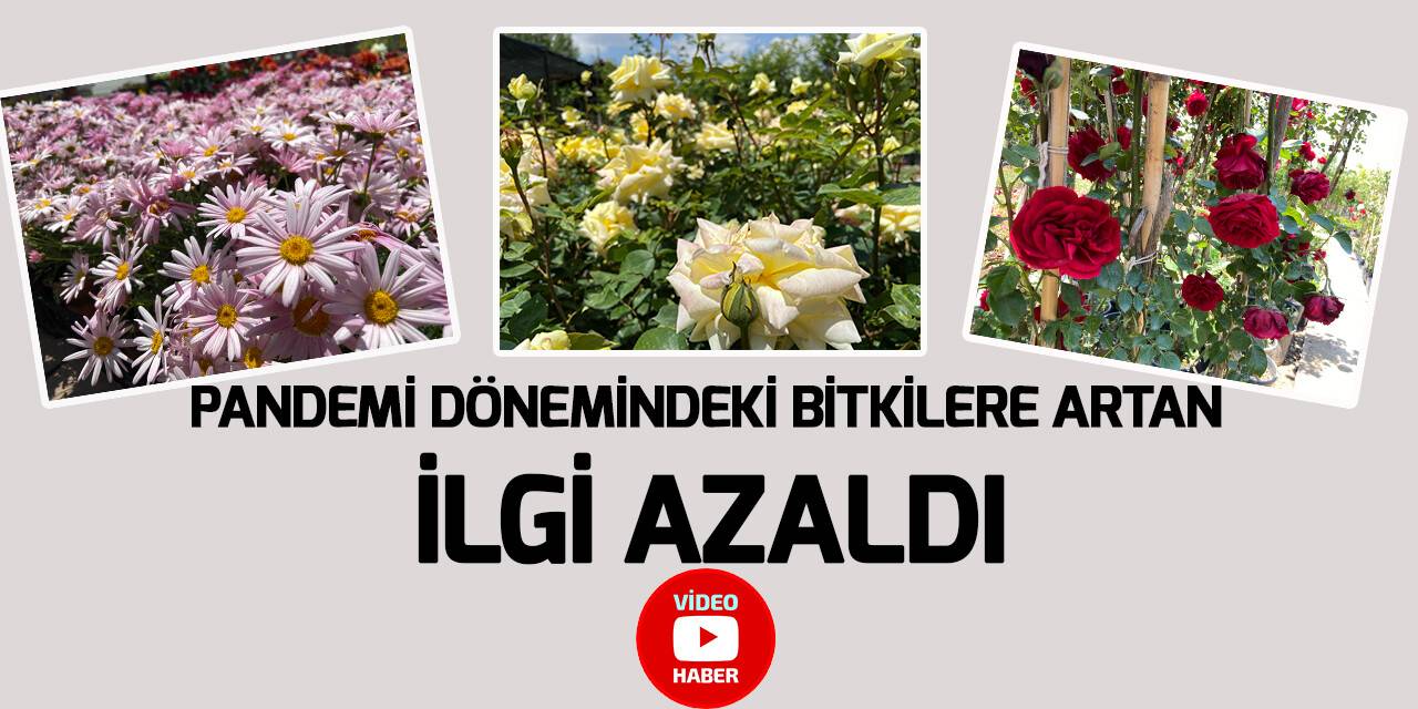 İç mekânda hobi amaçlı ürünlere talep azaldı