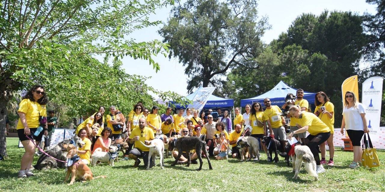 Patili dostlarıyla koştular