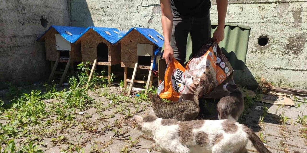 ZBEÜ İletişim Fakültesi öğrencilerilerinden gönüllülük projesi