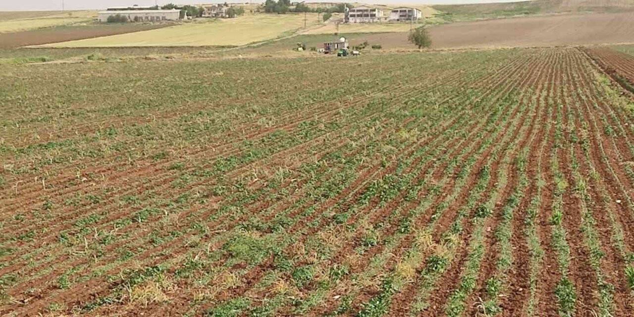 Diyarbakır’da yıldırım çarpması sonucu bir çocuk öldü