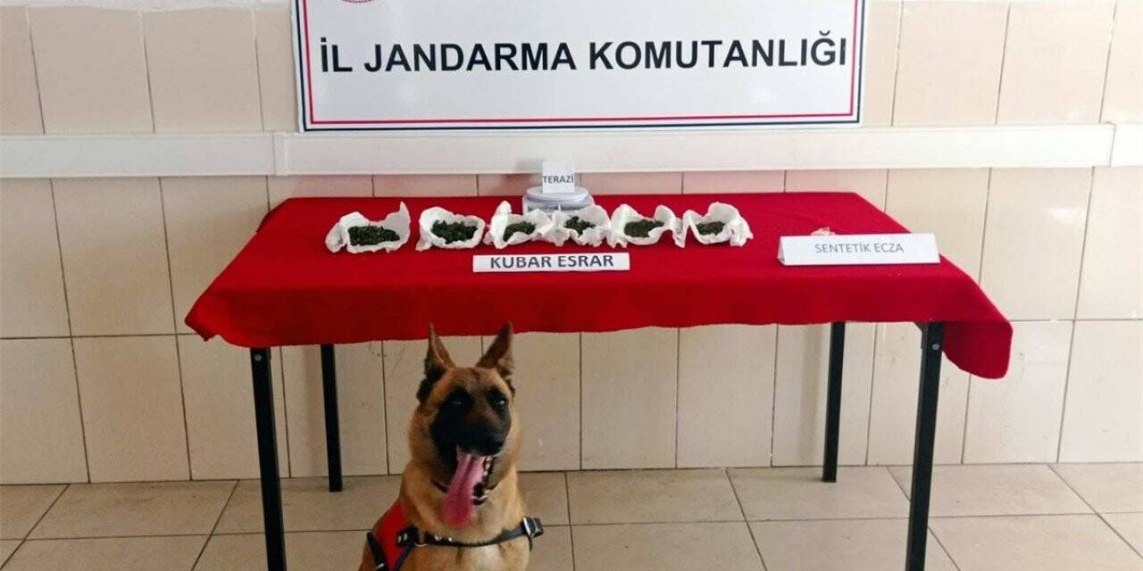 Jandarmadan uyuşturucu operasyonları: 37 gözaltı