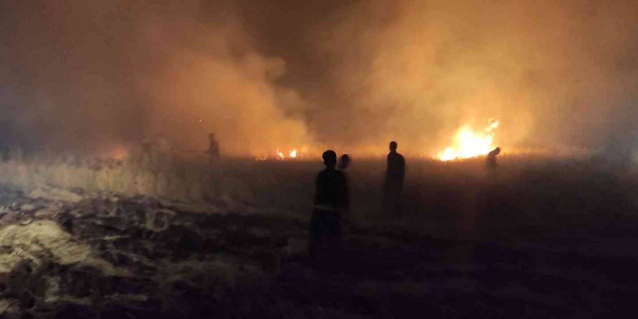 Ekili alanda korkutan yangın