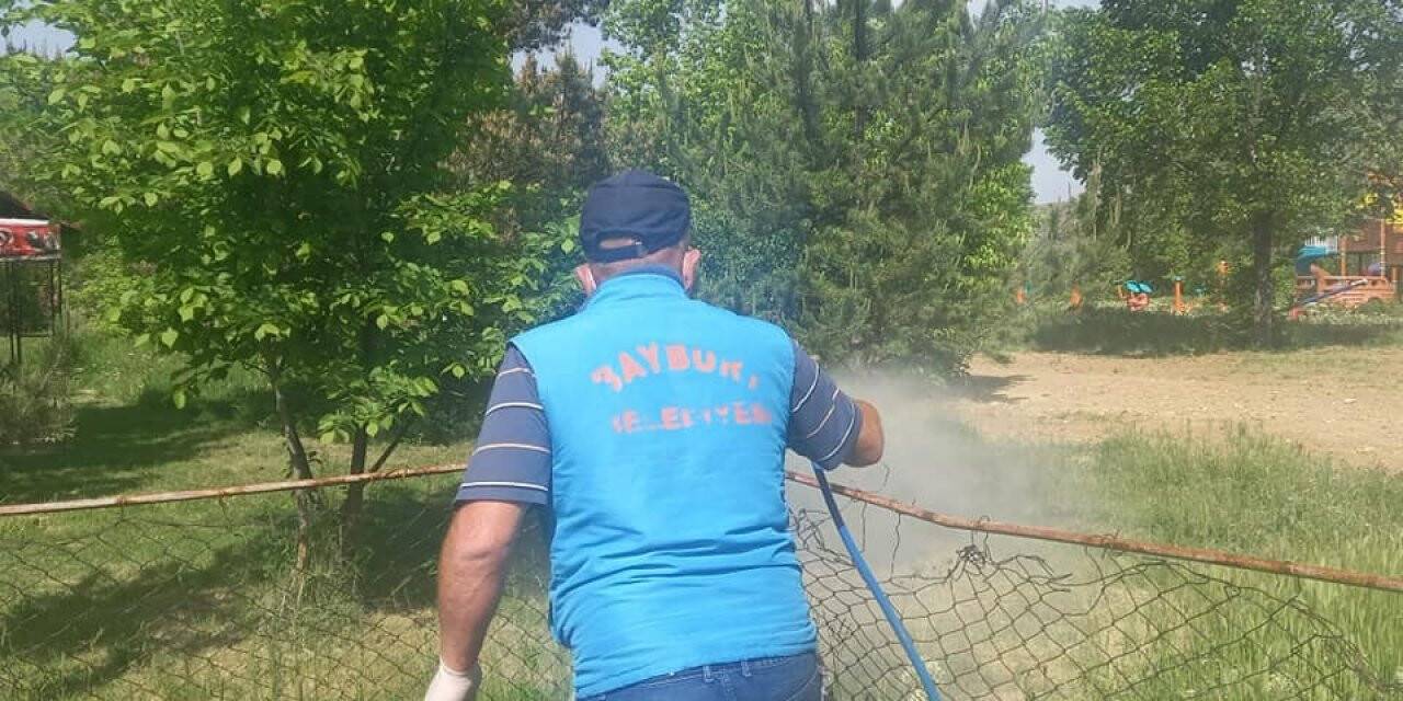 Bayburt Belediyesi ilaçlama mesaisine devam ediyor
