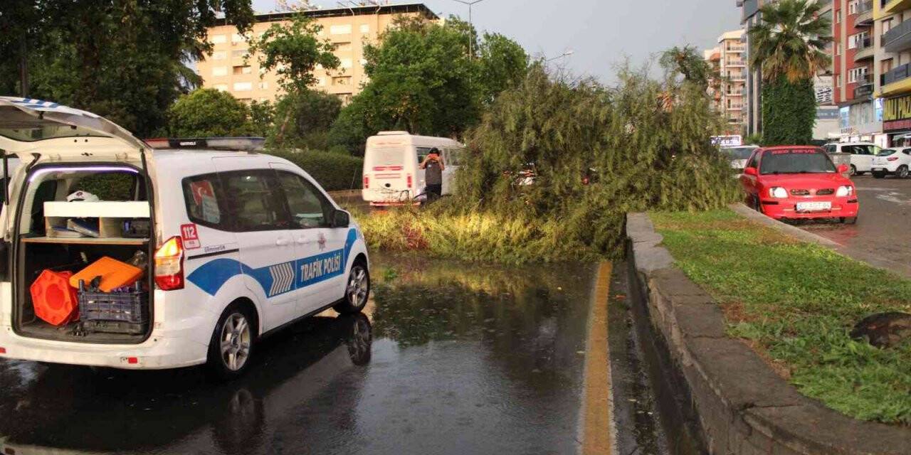 Aydın’da etkili olan fırtına ortalığı birbirine kattı