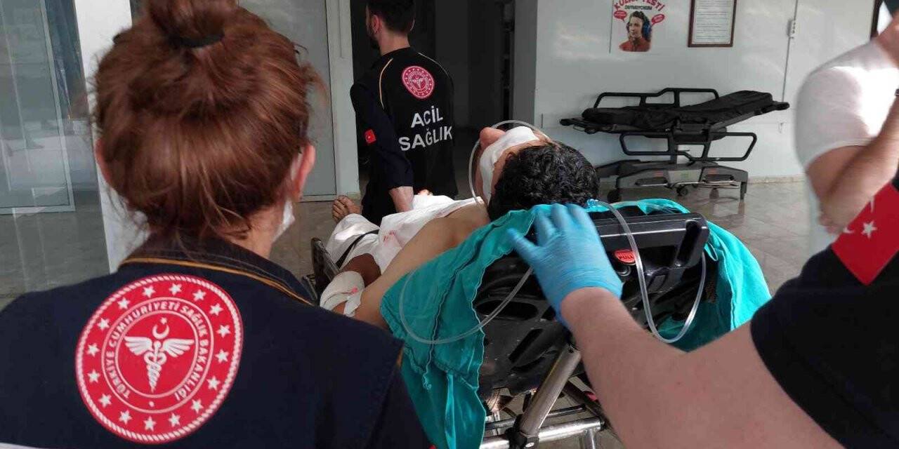 Amcasına fındık bahçesinde kurşun yağdırdı