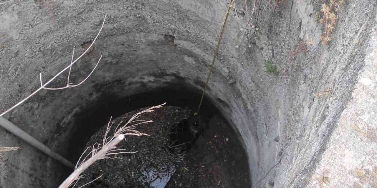 Kuyuya düşen köpek kurtarıldı