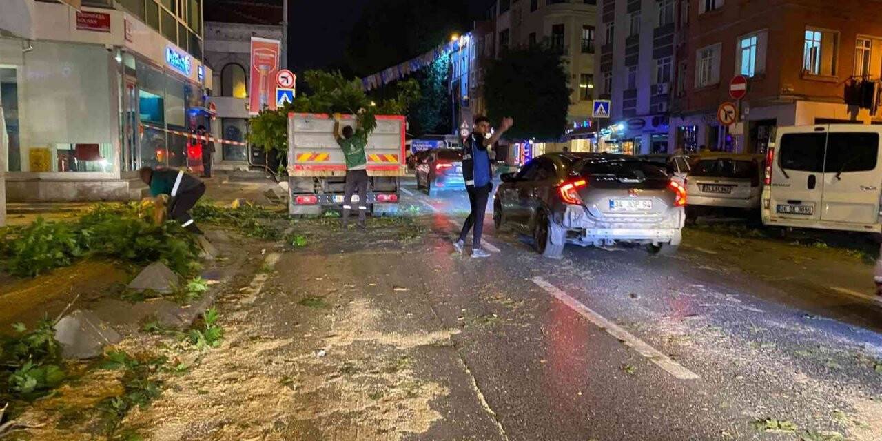 TIR’ın çarptığı ağaç ortadan ikiye ayrıldı