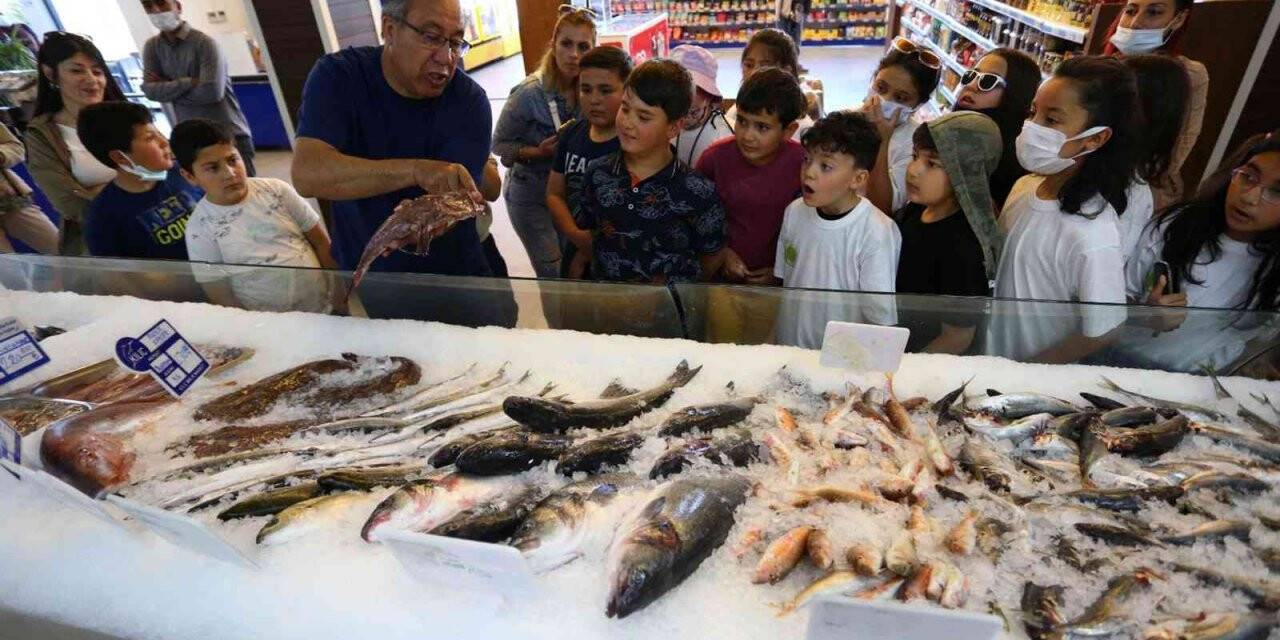 Hem öğrendiler, hem eğlendiler