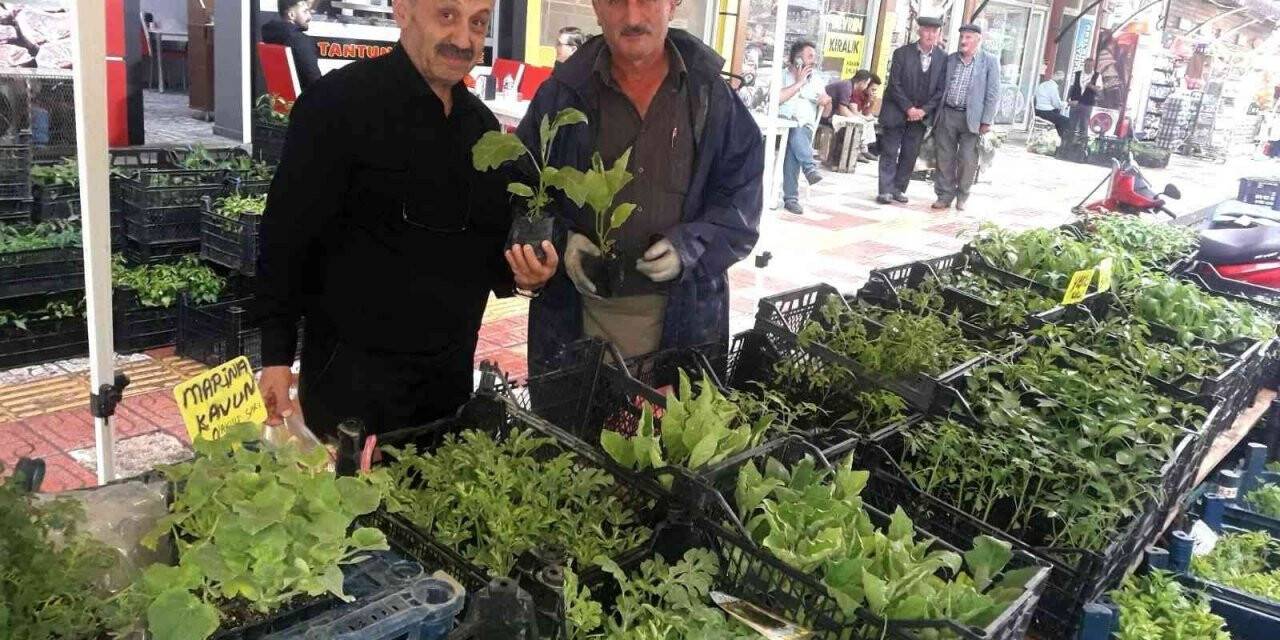 Sebze ve meyve yetiştirmek isteyenler fide satıcılarının yüzünü güldürdü