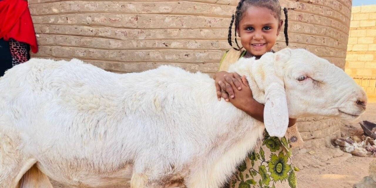 2022 yılı kurban vekalet ücretleri belli oldu