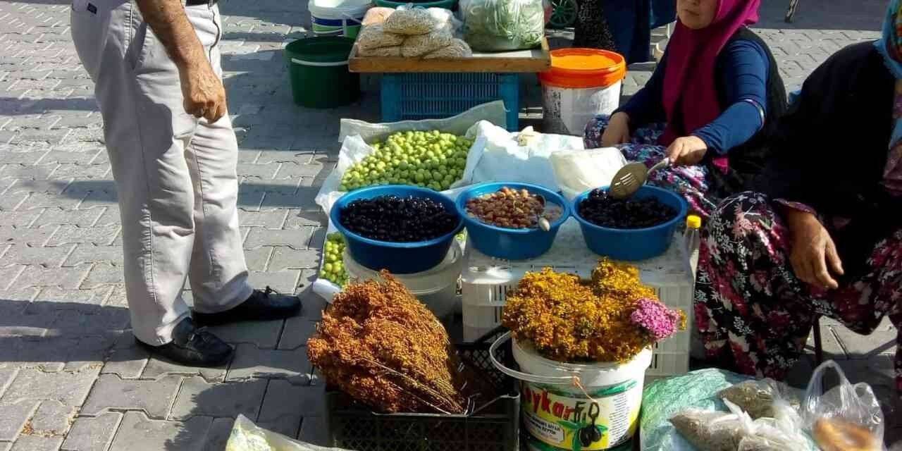 Havran köylü pazarı büyük ilgi görüyor