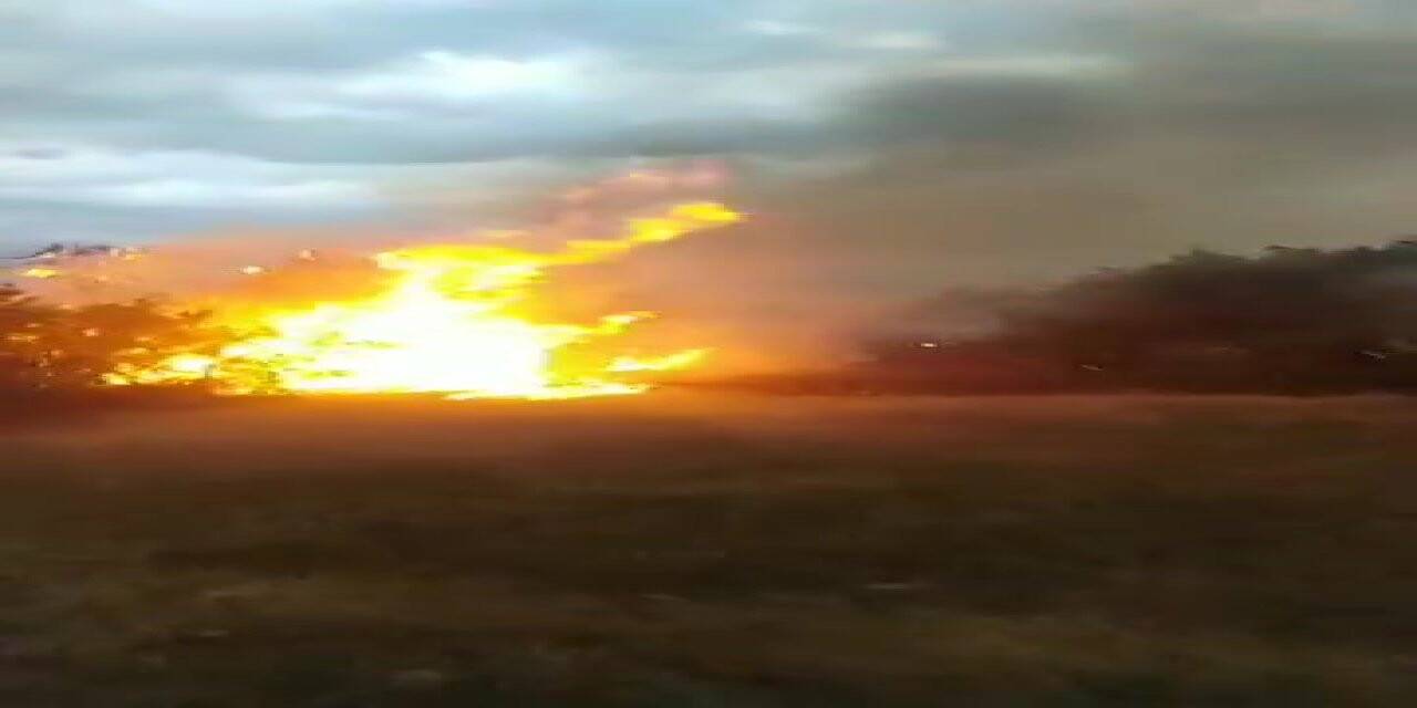 Yıldırım düşmesi sonucu çıkan yangında 10 dönüm alan zarar gördü