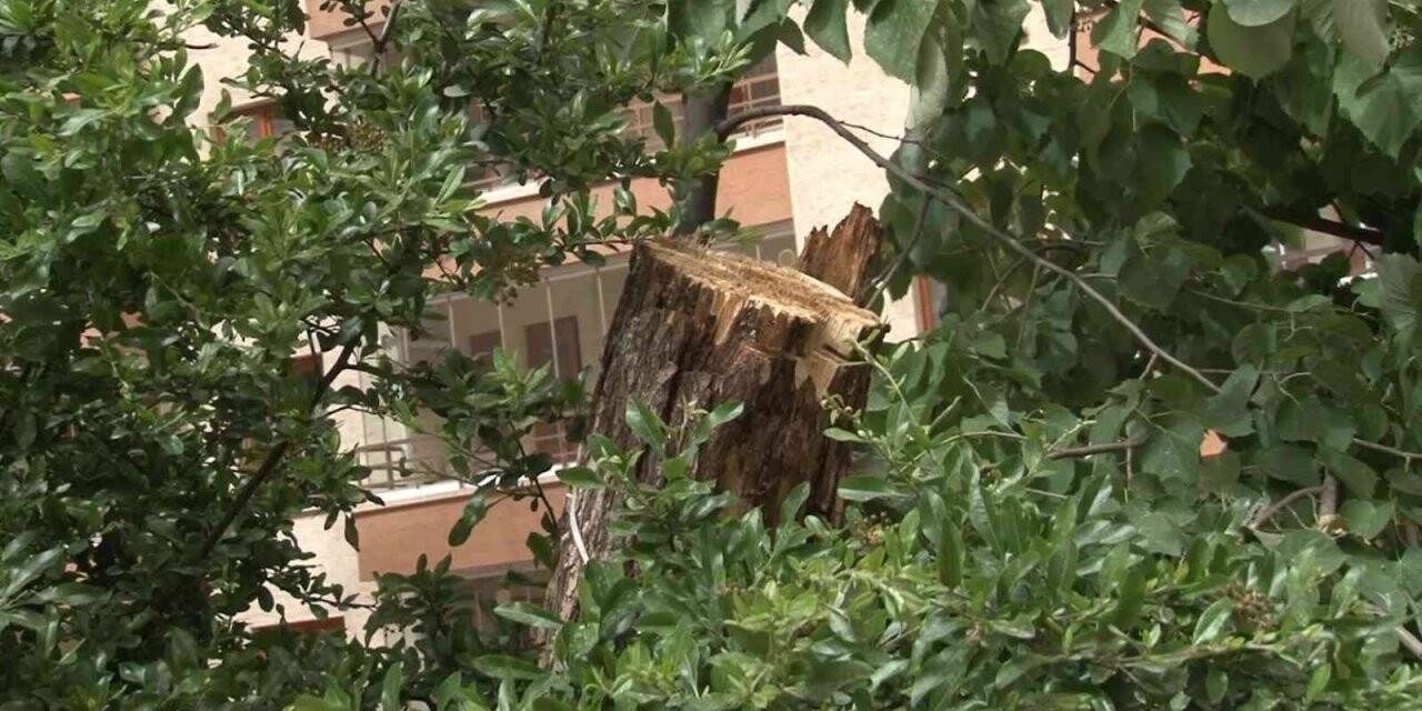 Ankara’da gece yaşanan fırtınanın izleri sabah ortaya çıktı