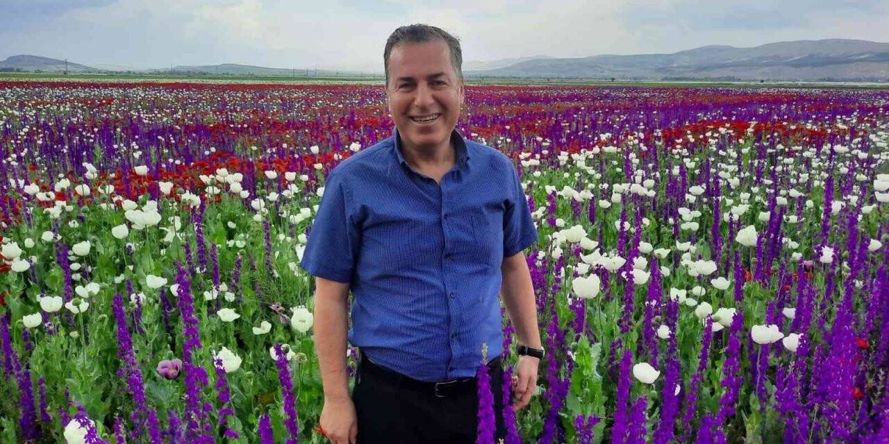 Doğaya adeta halı serildi