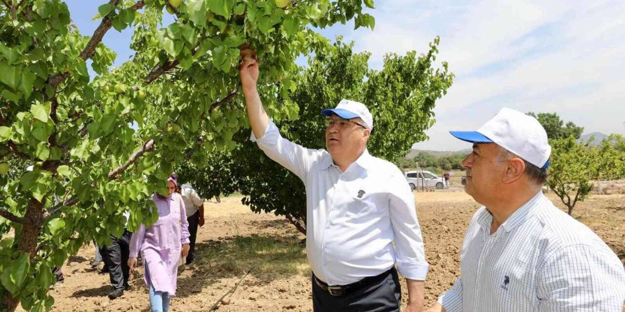 Yunusemre üreticiyi destekliyor, ekonomiye katkı sağlıyor