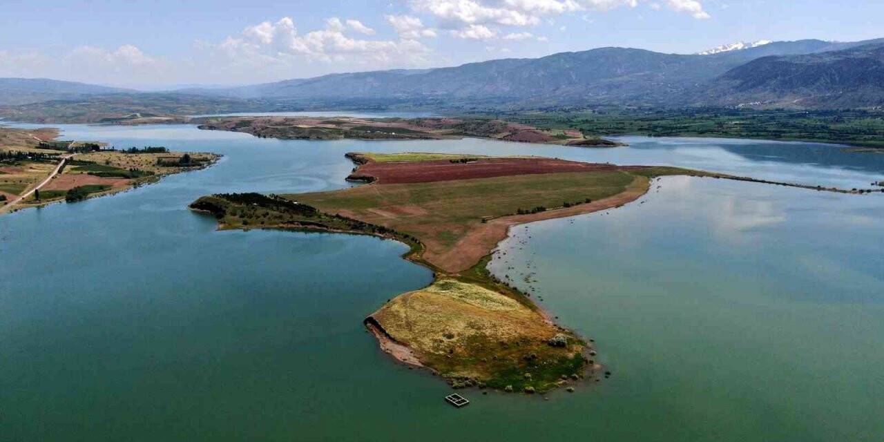 Milyonluk adaya müşteri çıkmadı, onlarda atayı sürüp yem bitkisi ekti