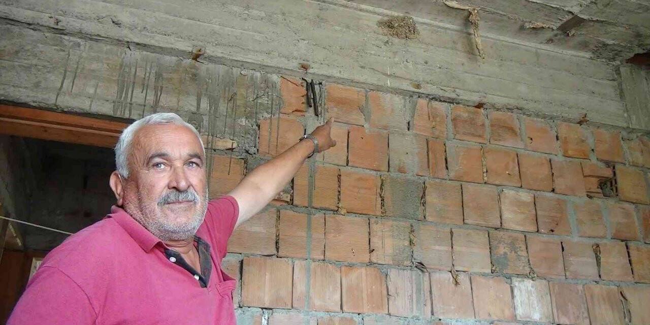 İnşaattaki kuş yuvasından beyaz kırlangıç çıktı, görenler şaştı kaldı