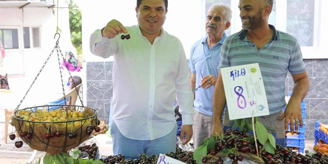 Buca’da Kiraz Festivali için geri sayım başladı