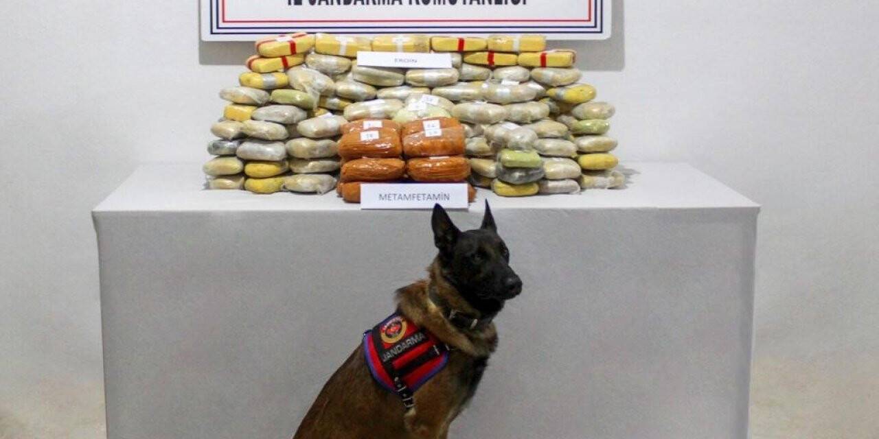 Bitlis’te 89 kilo uyuşturucu geçirildi
