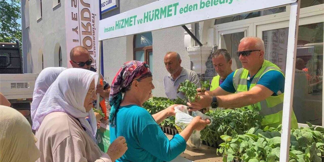 Ordu’da 200 bin fide toprakla buluşturuldu