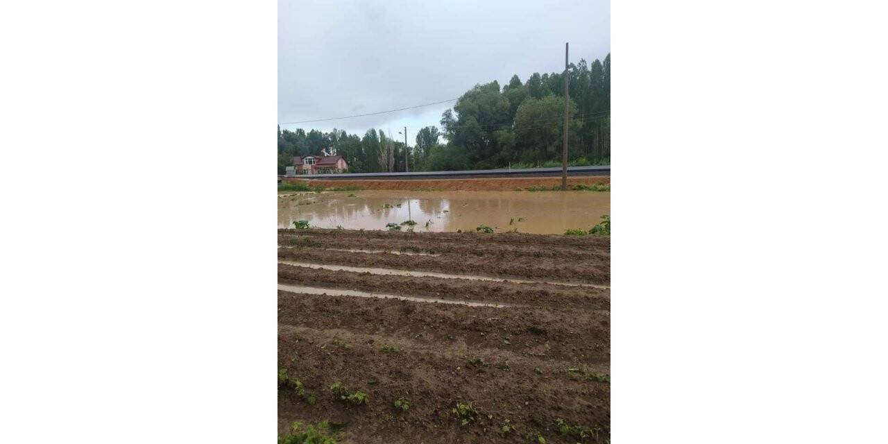 Beyşehir’de yağış çiftçinin yüzünü güldürdü