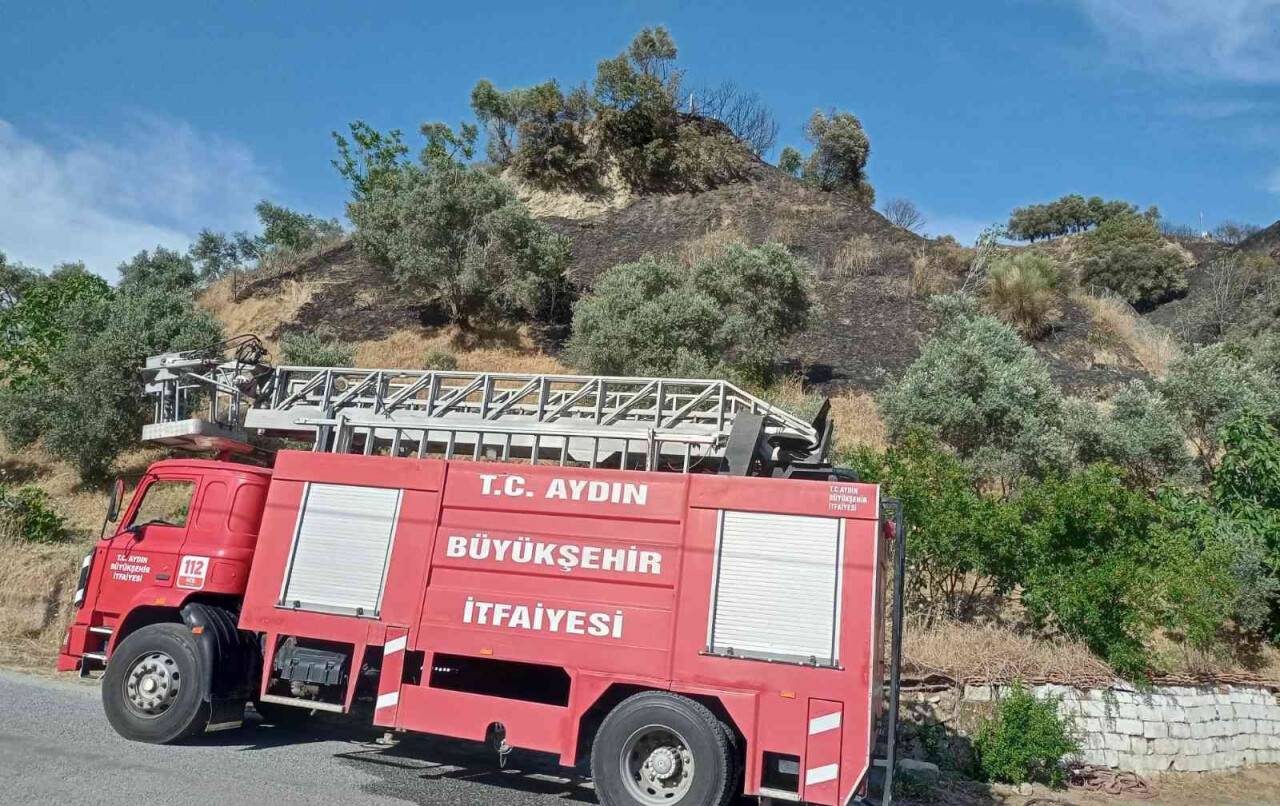 Aydın’da zeytinlik alandaki yangın büyümeden söndürüldü