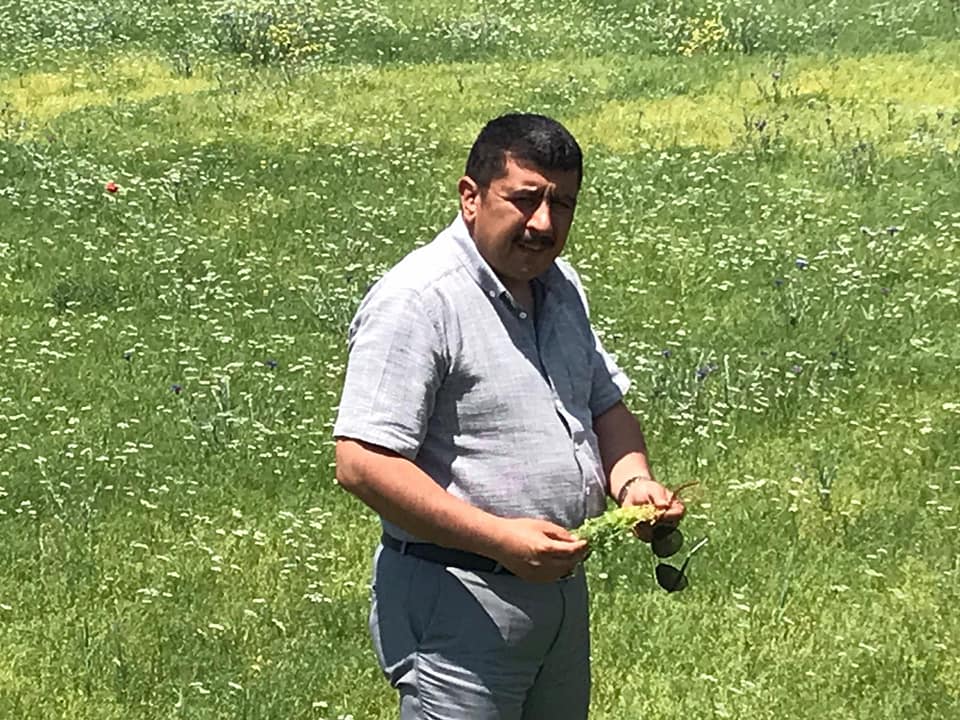 Beyşehir'deki nohut ve ayçiçeği ekili alanlarda saha taraması
