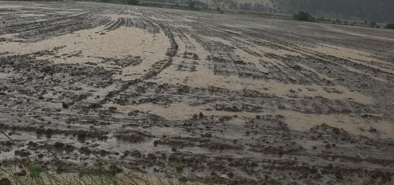 Derebucak’ta ekili araziler sular altında kaldı