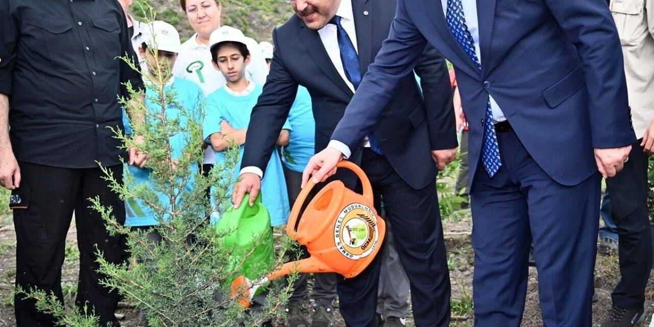 Osmaniye’de 150 fidan toprakla buluşturuldu