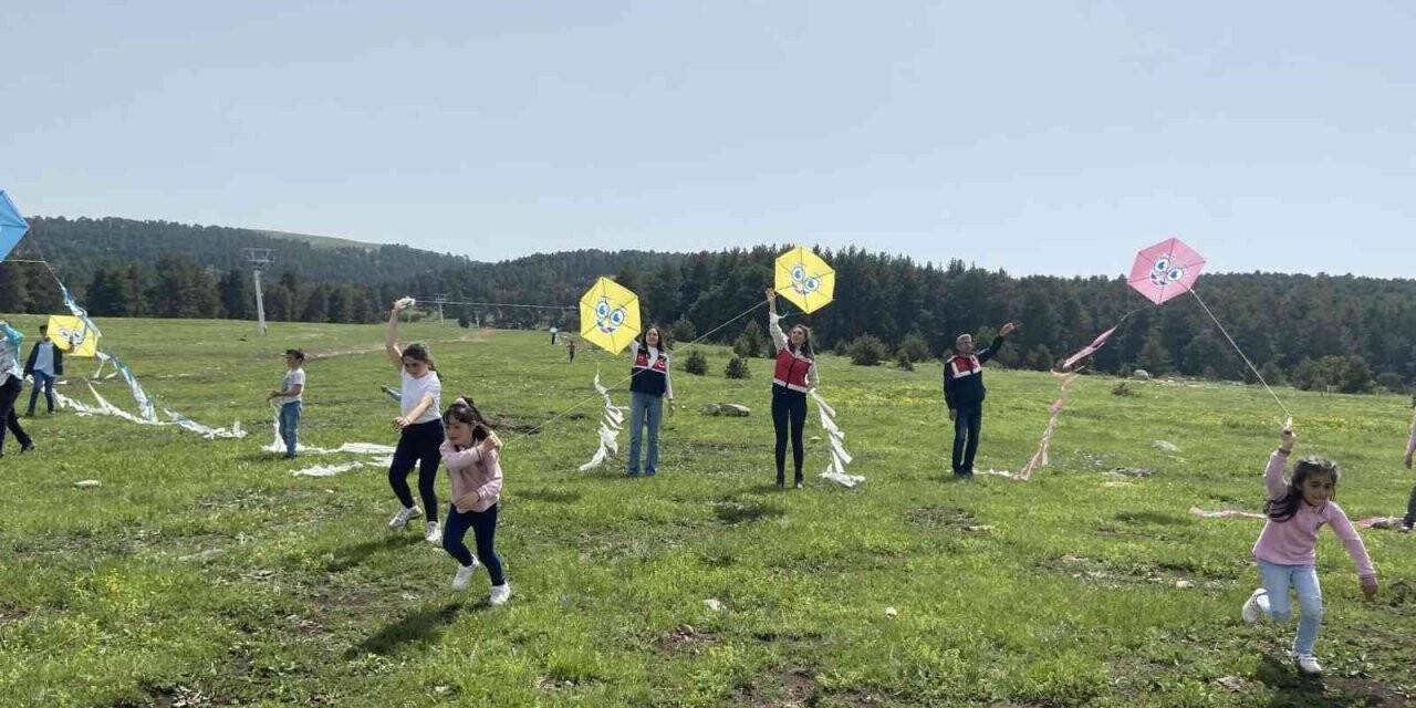 Jandarmanın uçurtma şenliğinden renkli görüntüler