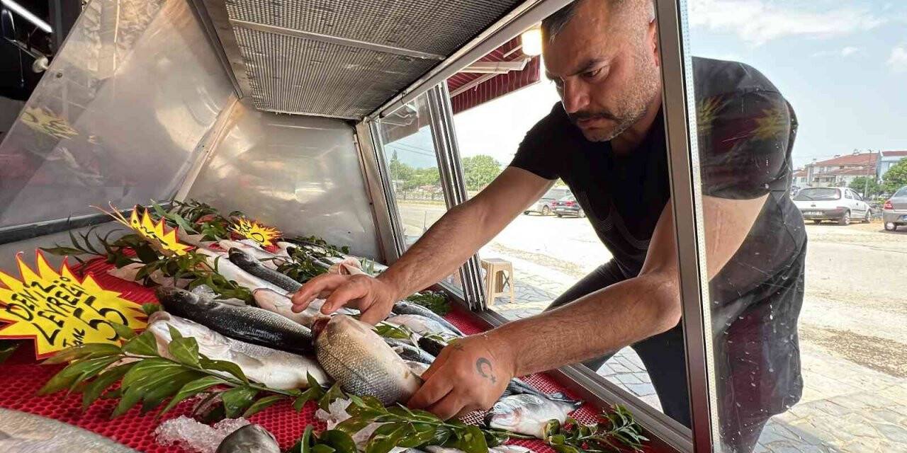 Tezgahlarda lüfer ve çinekop bolluğu