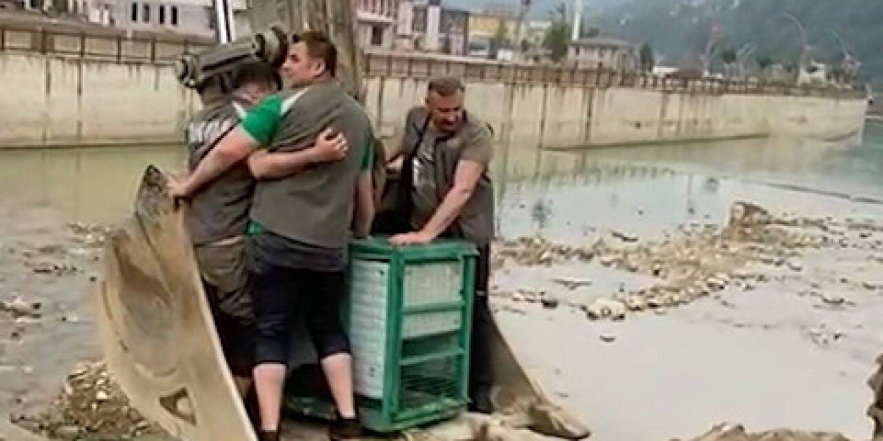 Dereye düşen yaralı karaca iş makinesi ile kurtarıldı