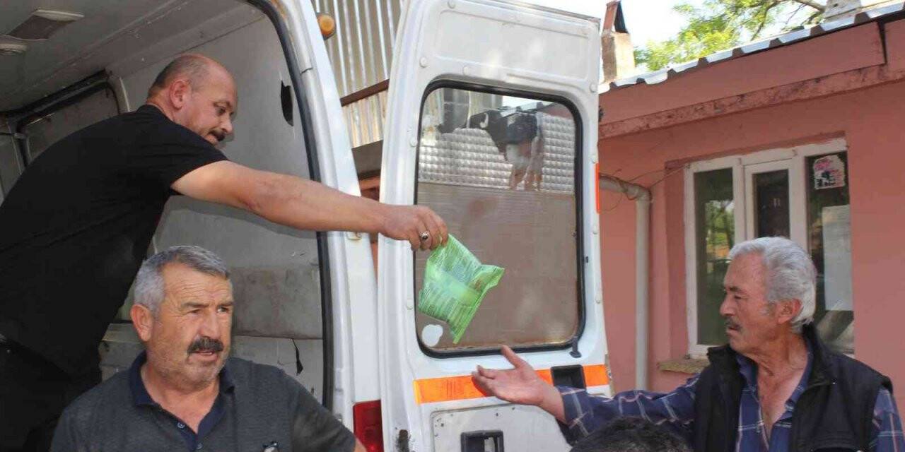 Çal’da dolu yağışının neden olduğu zararın izleri siliniyor